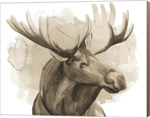 Framed Bull Moose I Print