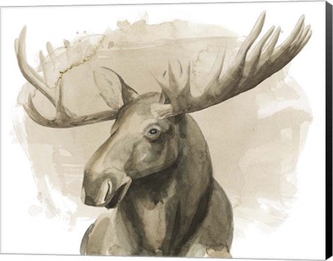 Framed Bull Moose II Print