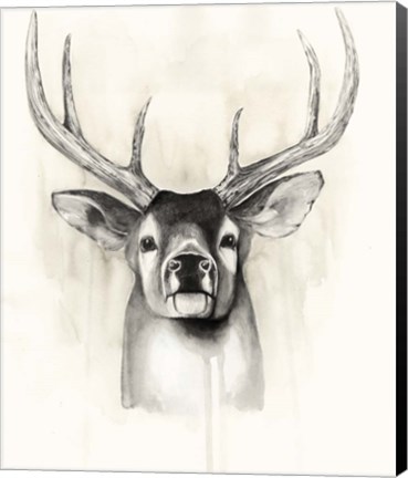 Framed Timberland Animals II Print