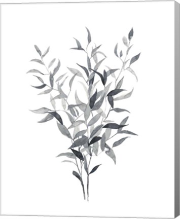 Framed Paynes Grey Botanicals I Print