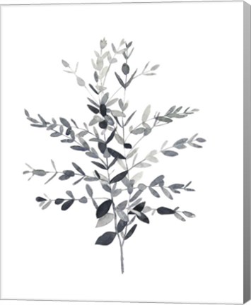 Framed Paynes Grey Botanicals II Print