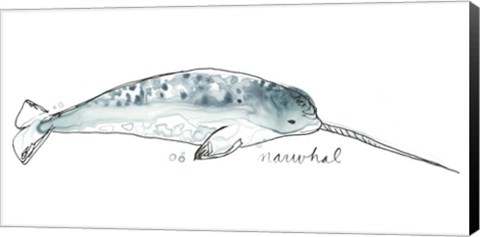 Framed Cetacea Narwhal Print