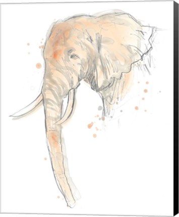 Framed Blush Savannah I Print