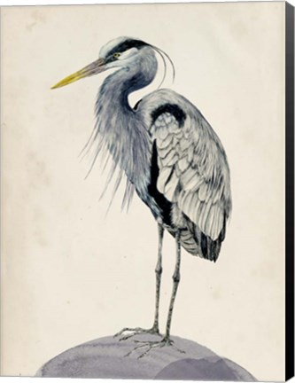 Framed Blue Heron Rendering II Print