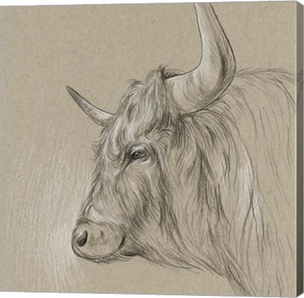 Framed Bison Sketch II Print