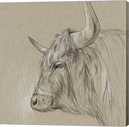 Framed Bison Sketch II Print