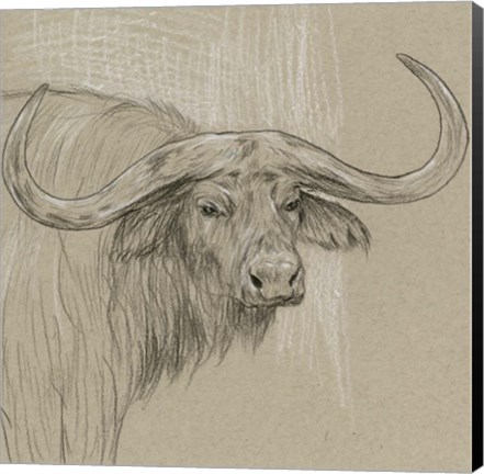 Framed Longhorn Sketch II Print