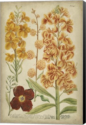 Framed Tropical Floral I Print