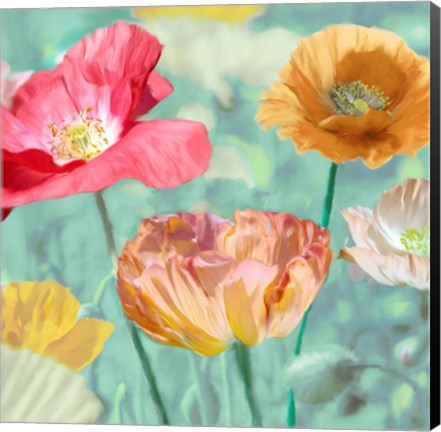 Framed Poppies in Bloom II Print