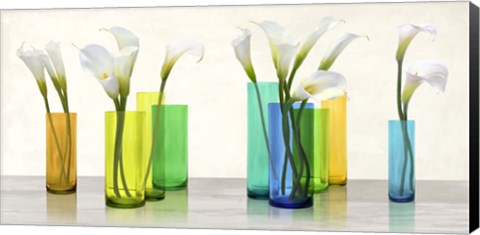 Framed Callas in crystal vases Print