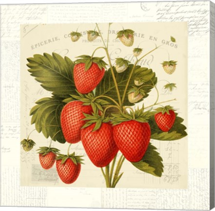 Framed Fraises Print