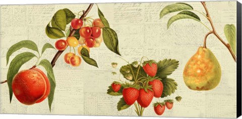 Framed Fruits de Saison Print