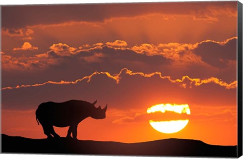 Framed Kenya, Masai Mara Composite Of White Rhino Silhouette And Sunset Print