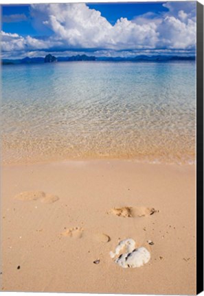 Framed Sandy Beach And Clear Waters In The Bacuit Archipelago, Philippines Print