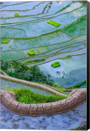 Framed Rice Terraces Of Banaue, Philippines Print