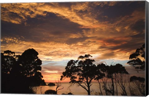 Framed Australia, Tasmania, Freycinet, Sunrise Print