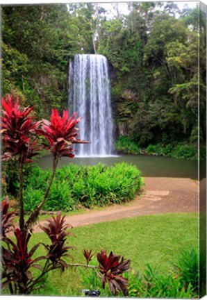 Framed Millaa Millaa Falls, Queensland, Australia Print