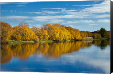 Framed Autumn Colour And Clutha River At Kaitangata, South Island, New Zealand Print