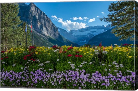 Framed Wildflowers In Banff National Park Print