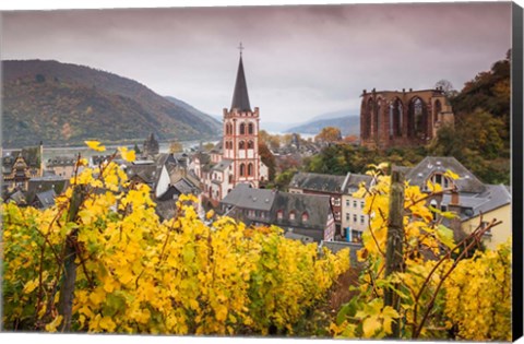 Framed Germany, Rhineland-Pfalz, Bacharach, Elevated Town View In Autumn Print