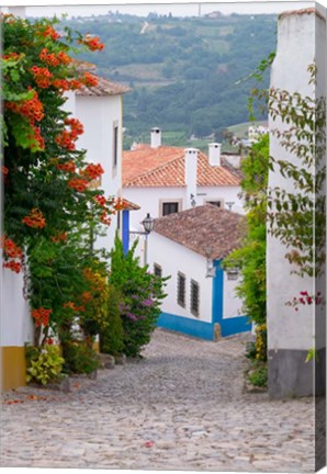 Framed Portugal, Obidos Leira District Cobblestone Walkway Print