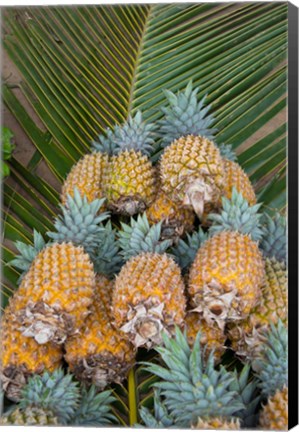 Framed Kingdom Of Tonga, Vava&#39;u Islands, Pineapples Print