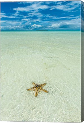 Framed Sea Star In The Sand On The Rock Islands, Palau Print