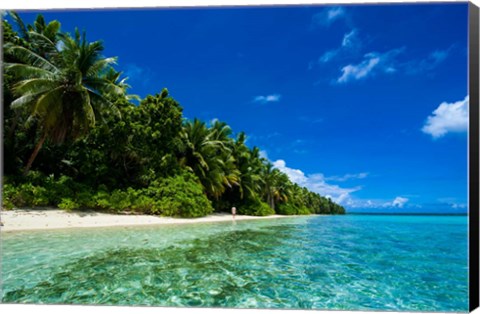 Framed White Sand Beach In Turquoise Water In The Ant Atoll, Micronesia Print