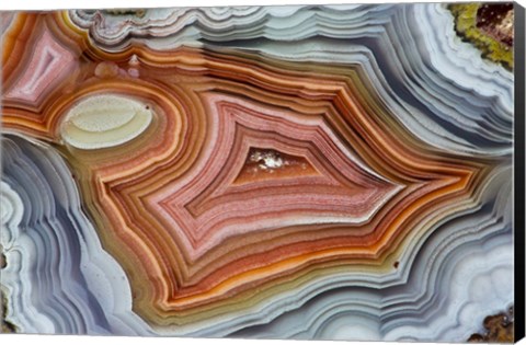 Framed Mexican Banded Agate Quartzsite, Arizona 1 Print