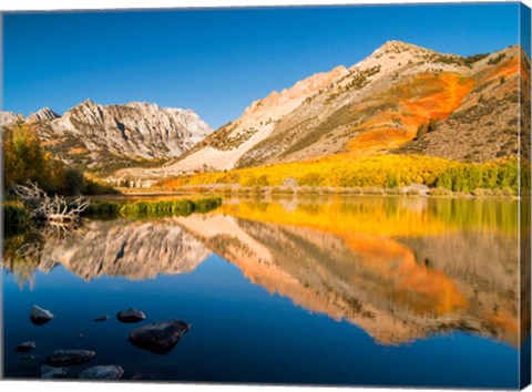 Framed California, Eastern Sierra, Fall Color Reflected In North Lake Print