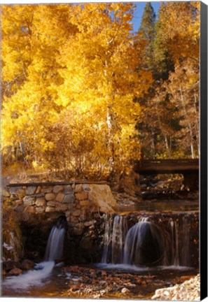 Framed Autumn Waterfalls In The Sierra Print