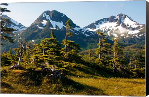 Framed Mount Eccles Near Cordova, Alaska Print