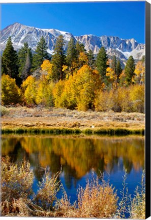 Framed Yosemite&#39;s Mount Dana Print