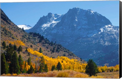 Framed Fall In Eastern California Print