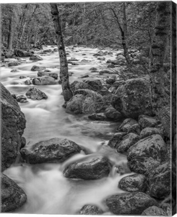 Framed Yosemite Happy Isles, California (BW) Print