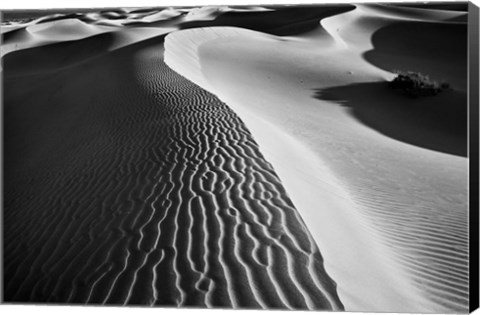 Framed Valley Dunes Landscape, California (BW) Print