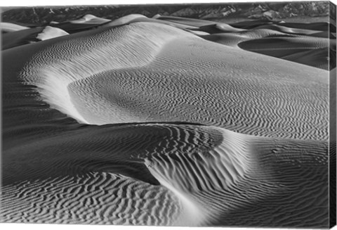 Framed Valley Dunes Desert, California (BW) Print