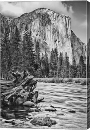 Framed California, Yosemite, El Capitan (BW) Print