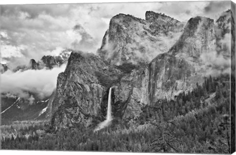 Framed California, Yosemite, Bridalveil Falls (BW) Print