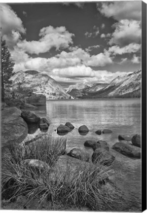 Framed California, Lake Tenaya (BW) Print