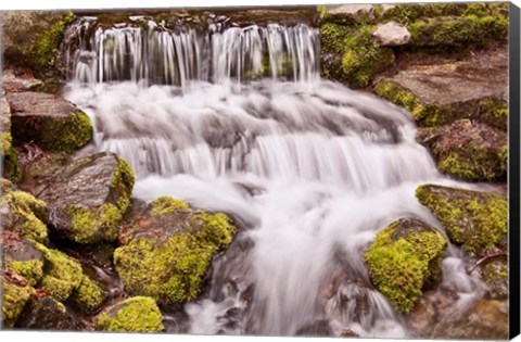 Framed California, Yosemite, Small Falls Print