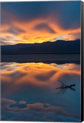 Framed Lone Branch At Cotton Ball Basin Print