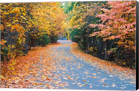 Framed Autumn Along  Mirror Lake Road Print