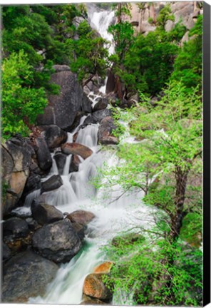 Framed Cascade Creek, California Print