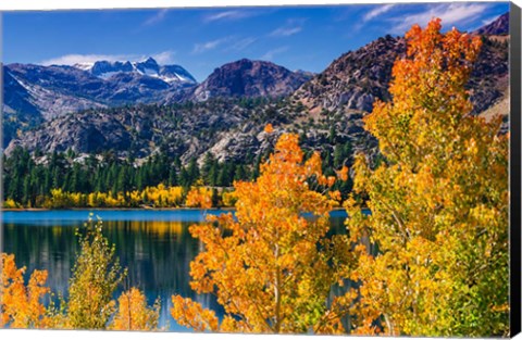 Framed Golden Fall Landscape At June Lake Print