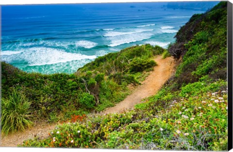 Framed Dirt Trail To Sand Dollar Beach Print