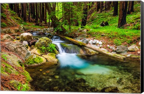 Framed Hare Creek Print