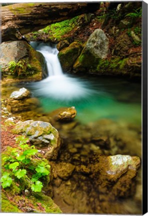 Framed Small Cascade On Hare Creek Print