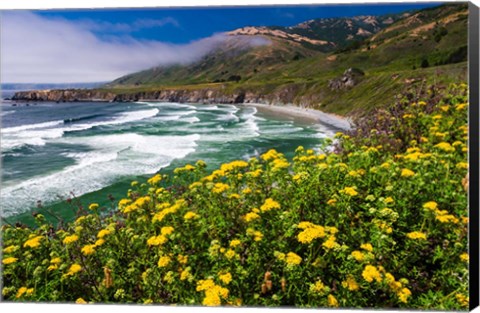 Framed Wildflowers Above Sand Dollar Beach Print