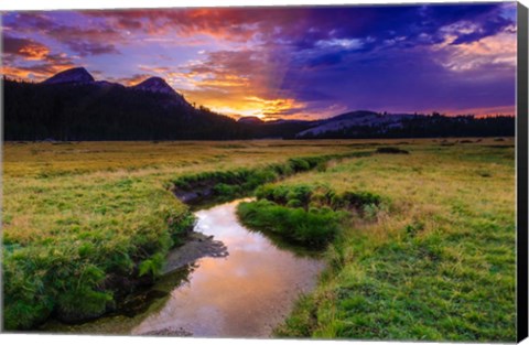 Framed Sunset Over Tuolumne Meadows Along Budd Creek Print